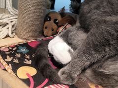 -觅时光手作·香薰·拼豆豆·陶艺DIY