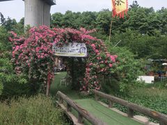 -秀丽东方