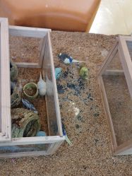 -开心哈乐儿童主题乐园(孙河易事达店)