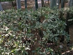 -故乡缘·香格里拉山庄(冷竹路店)