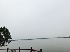 -鹅湖玫瑰文化园