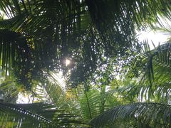 -三亚珠江南田温泉度假区