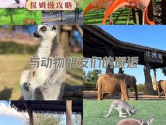 -上海野生动物园
