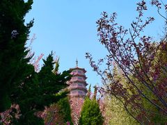 -石岛赤山风景区