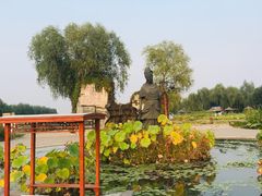 -白洋淀景区