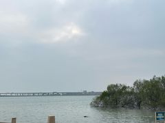 -宝安西湾红树林湿地公园