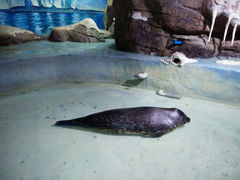 android_upload_pic-南昌海洋公园