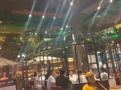 -三强鸽子(中原路店)