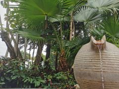 -碧水湾温泉