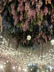 -花嫁丽舍婚礼殿堂(世博江景店)