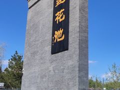 -莲花池公园