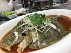 -金蝉食府(维吉奥广场店)