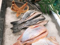-蓝珊甄选海鲜自助·火锅大排档(近阿那亚店)