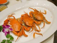 -沙龙酒家
