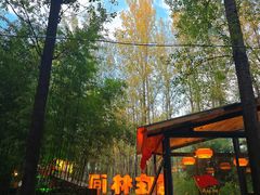 -林间山庄
