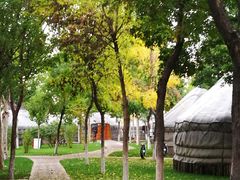 -九十九顶毡房(阜石路店)