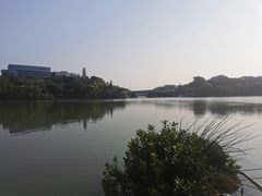 -华侨城湿地公园
