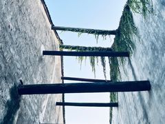 -乌镇景区
