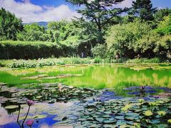 -国家植物园南园