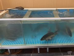 -悦府东北私房菜·饺子王·铁锅炖(长白山万达店)