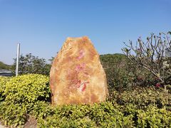 -松山湖南湖湾露营营地