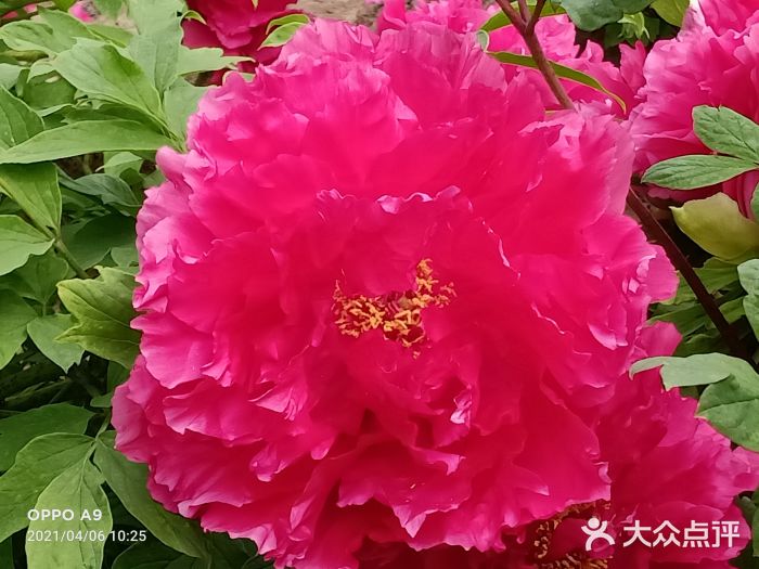 江南大学(蠡湖校区)图片