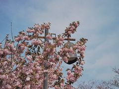 -咸阳湖景区-古渡公园