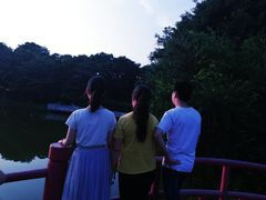 -东莞植物园