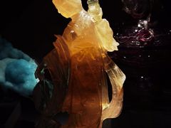 -中国地质博物馆