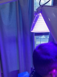 -碧莲盛·不剃发植发