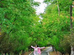 -南京金牛湖风景区