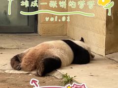 -石家庄市动物园