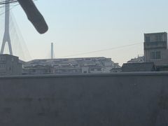 -正宗杂粮煎饼香软鸡蛋饼