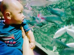 -成都浩海立方海洋公园