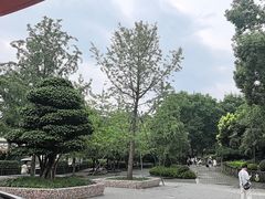 -成都动物园