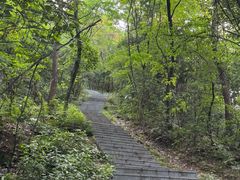 -东湖小天池真人CS彩弹野战基地