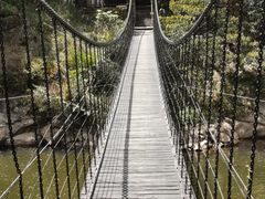 -九鲤湖风景区