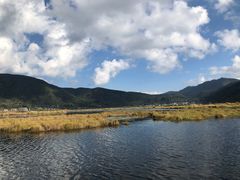 -腾冲北海湿地