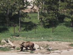 -青藏高原野生动物园