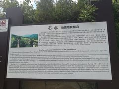 -铜川市金锁关石林