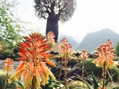 -Club Med地中海俱乐部·桂林度假村