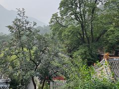 -潭柘寺景区