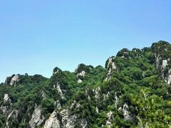-王顺山国家森林公园