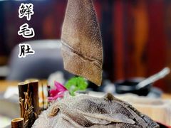 -渝味晓宇火锅(合川路店)