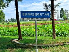 -洪湖生态旅游区