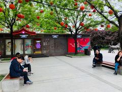 -大雁塔北广场音乐喷泉