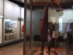 -墨尔本博物馆(Melbourne Museum)