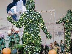 -杭州植物园