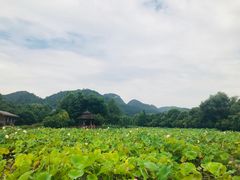 -贵阳市花溪国家城市湿地公园