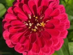 -长春公园(普阳街道)